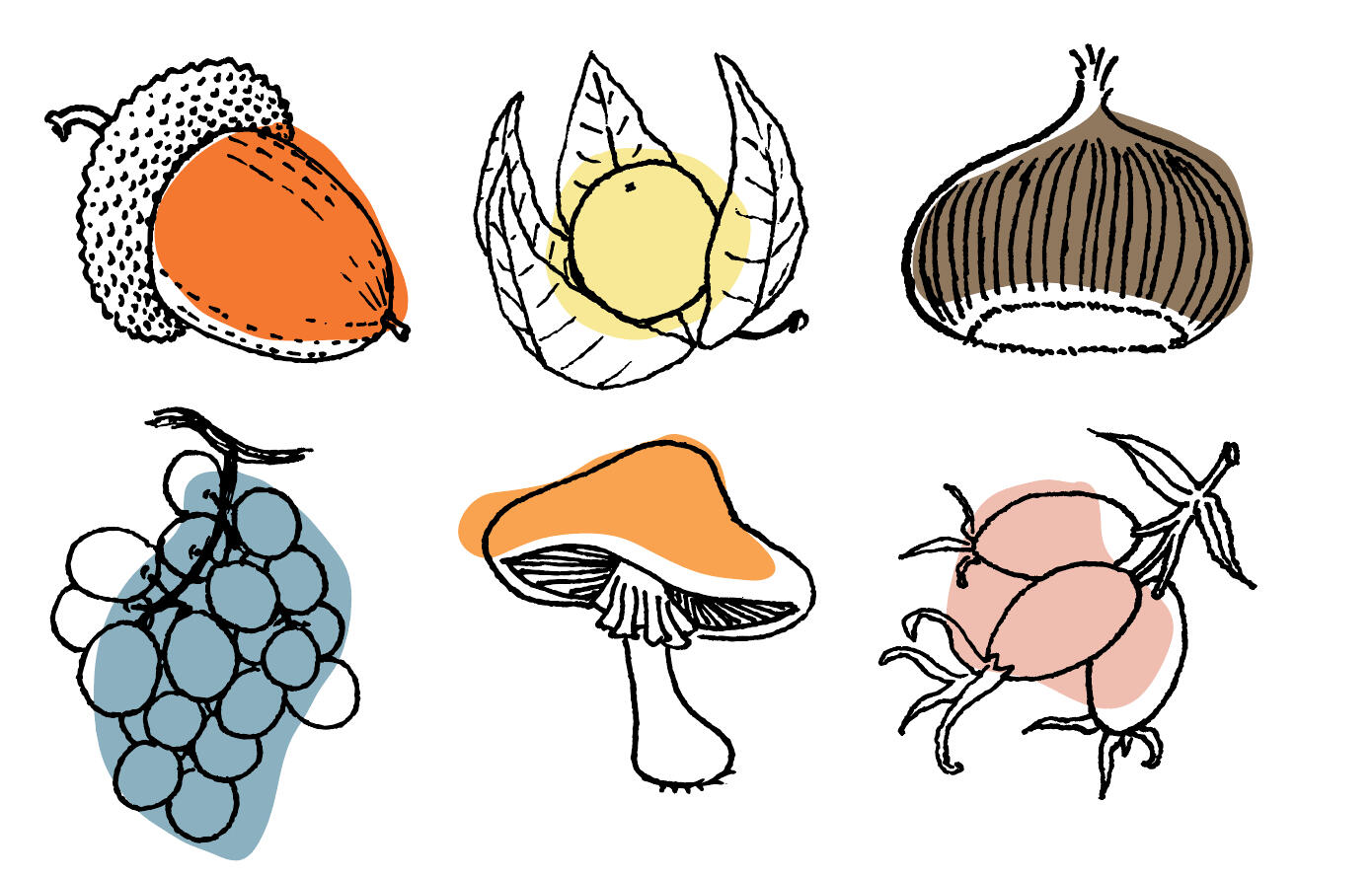 Buttons for the web-site