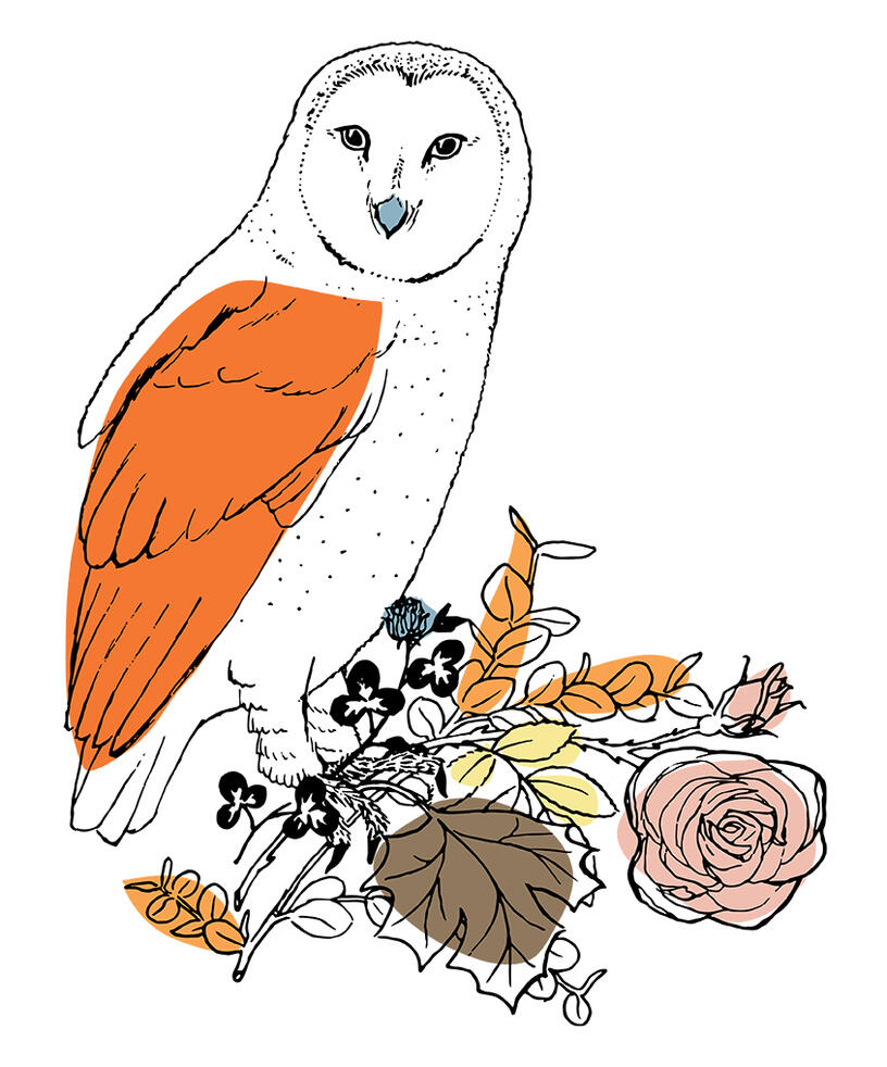 &quot;They did it before us&quot;