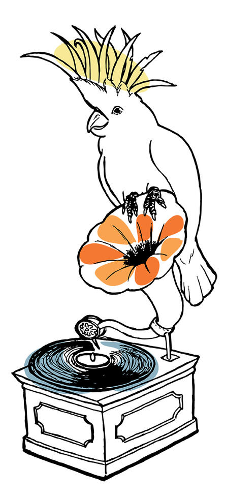 &quot;Political doesn&#39;t work&quot;